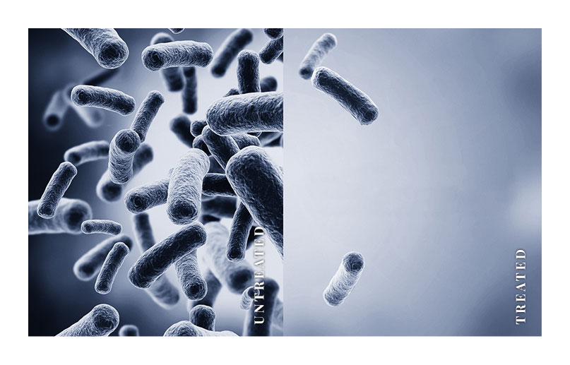 treated-untreated-desktop-white-border-80 treated-untreated-desktop-white-border-80